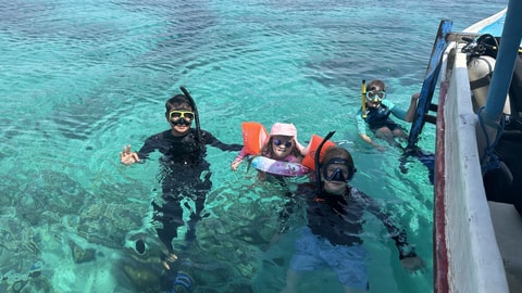 Polusi Suara Bawah Laut: Menyuarakan Laut yang Senyap