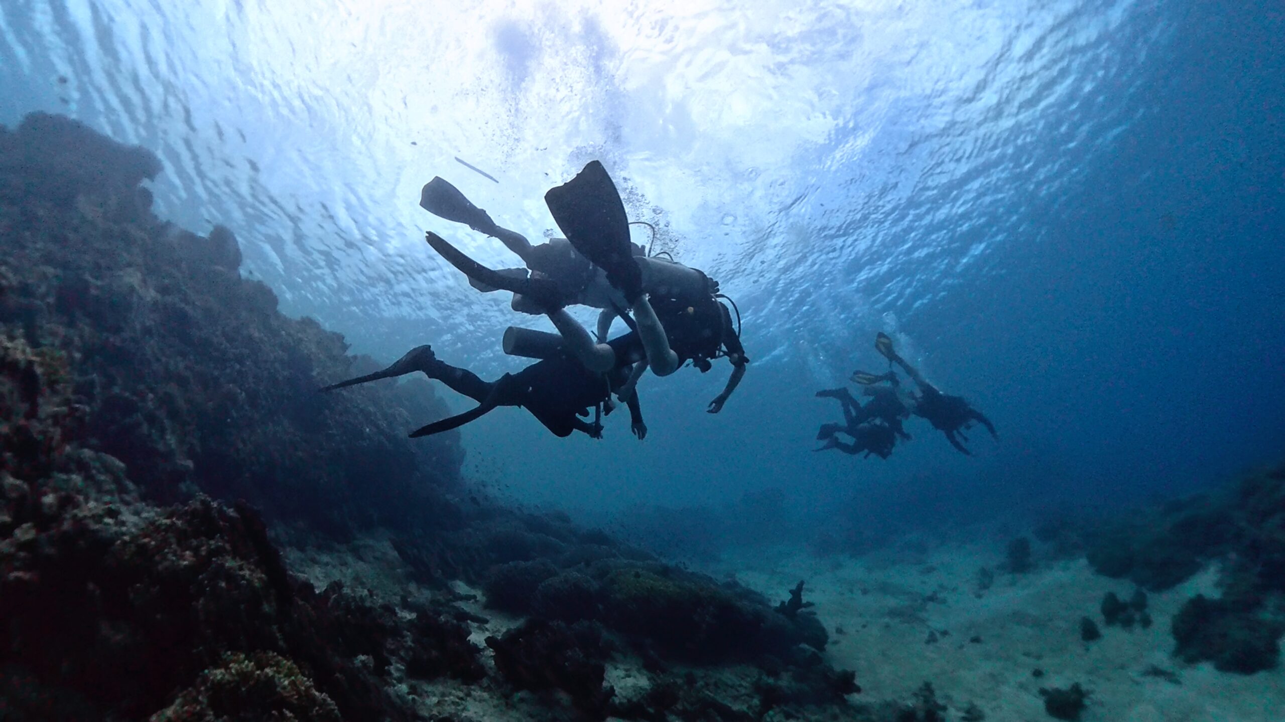 Banyumilir Dive Center